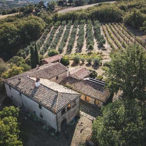 Ristrutturare una cascina è un modo per reinterpretarla in senso imprenditoriale.